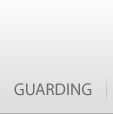 Makheda security guard page