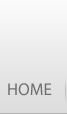 Makheda Security home page
